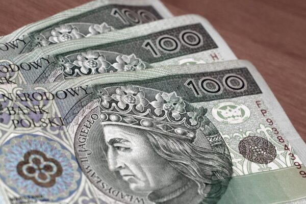 Jak wziąć kredyt na firmę — poradnik dla początkujących przedsiębiorców